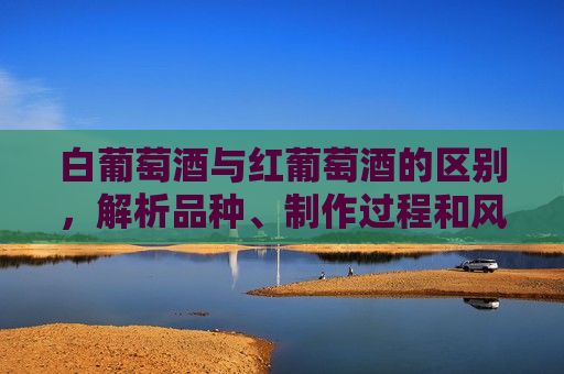 白葡萄酒与红葡萄酒的区别，解析品种、制作过程和风味特点，白葡萄酒与红葡萄酒的品种、制作过程和风味差异解析，白葡萄酒与红葡萄酒，品种、制作过程与风味差异解析