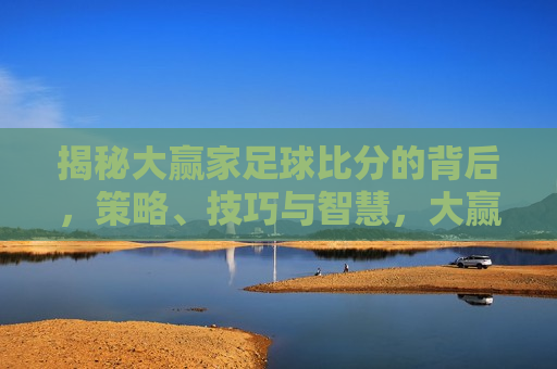 揭秘大赢家足球比分的背后，策略、技巧与智慧，大赢家足球比分背后的策略、技巧与智慧揭秘，大赢家足球比分背后的策略智慧与技巧揭秘