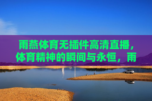 雨燕体育无插件高清直播，体育精神的瞬间与永恒，雨燕体育，无插件高清直播，捕捉体育精彩瞬间，雨燕体育，无插件高清直播，捕捉体育精彩瞬间