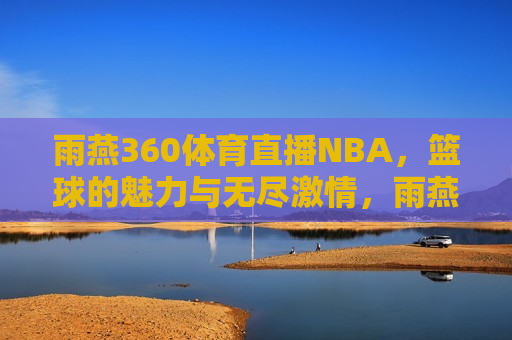 雨燕360体育直播NBA，篮球的魅力与无尽激情，雨燕360体育直播NBA，篮球激情四溢的魅力，雨燕360体育直播NBA，篮球激情四溢的魅力