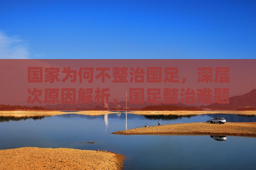 国家为何不整治国足，深层次原因解析，国足整治难题，深层次原因揭秘，揭秘国足整治难题，深层次原因与国家的挑战