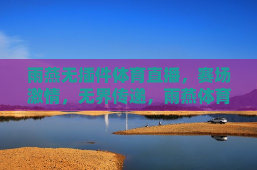 雨燕无插件体育直播，赛场激情，无界传递，雨燕体育直播，无插件传递赛场激情，雨燕体育直播，无插件传递赛场激情