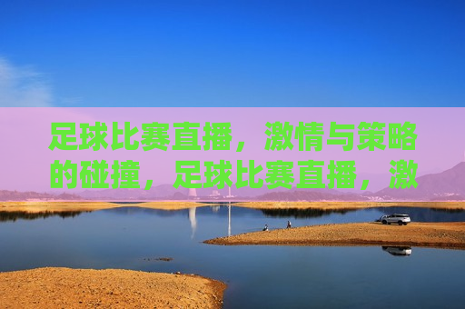 足球比赛直播，激情与策略的碰撞，足球比赛直播，激情与策略的较量，足球比赛直播，激情与策略的较量