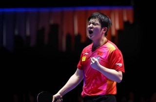 乒乓球男单世界排名最新(乒乓球男单世界排名最新排名表格)，乒乓球男单最新世界排名公布，乒乓球男单最新世界排名公布，排名表格揭示实力差距