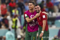 葡萄牙无缘2022世界杯(葡萄牙进了2022世界杯没)
