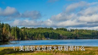 美国职业足球大联盟排名(美国大联盟排名积分榜射手榜)