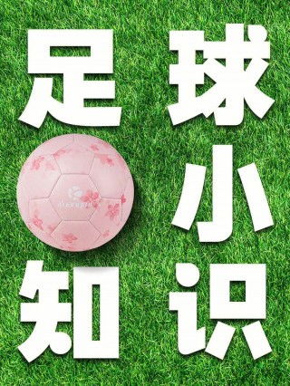 足球的一些基本知识(足球的一些基本知识是什么意思)