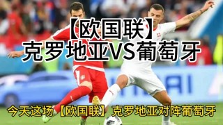 葡萄牙和美国比分(葡萄牙和美国比分谁厉害)