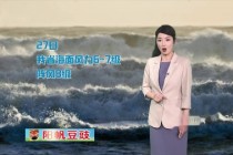 广东珠江频道直播app(广东珠江频道直播在线观看)