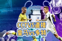 欧洲杯回放cctv5(欧洲杯回放cctv5葡萄牙队)