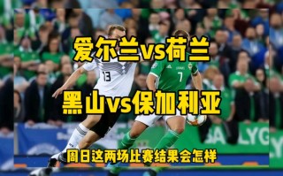 荷兰对爱尔兰比分(荷兰对爱尔兰比分预测最新)