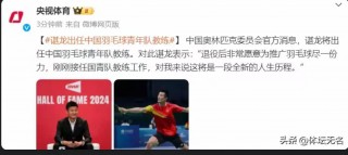 羽毛球世锦赛历届冠军(世界羽联年终总决赛结果)