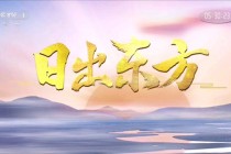 东方卫视电视回放(东方卫视电视回放节目单)