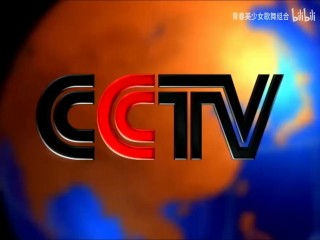 cctv北京卫视(CCTV北京卫视是几频道)