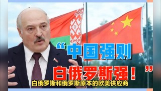 白俄罗斯(白俄罗斯和俄罗斯是什么关系)，白俄罗斯与俄罗斯的关系之谜，白俄罗斯与俄罗斯，关系之谜