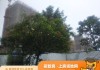 广州恒大冠珺之光(广州恒大冠珺之光14栋)