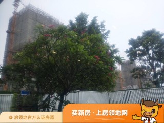 广州恒大冠珺之光(广州恒大冠珺之光14栋)