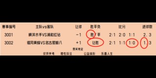 竞彩足球胜平负预测(竞彩足球胜平负预测比分推荐)