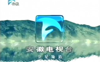安徽卫视(安徽卫视春晚)