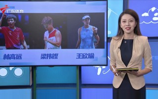 广东体育直播在线观看手机版(广东体育在线直播观看超清)