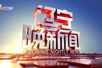 辽宁卫视电视台(辽宁卫视电视台节目表)