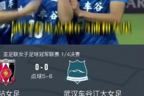 亚冠历届冠军一览表(历届亚冠联赛冠军得主)
