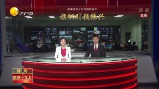 辽宁卫视在线直播观看(辽宁卫视在线直播观看节目表)
