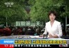 中央五频道直播(中央五频道直播节目)