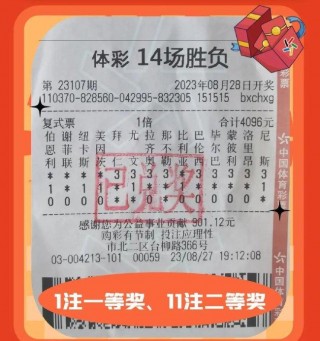 足彩开奖结果查询(2002年足彩开奖结果查询)