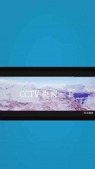 央视一套直播(央视一套直播在线直播六姊妹)