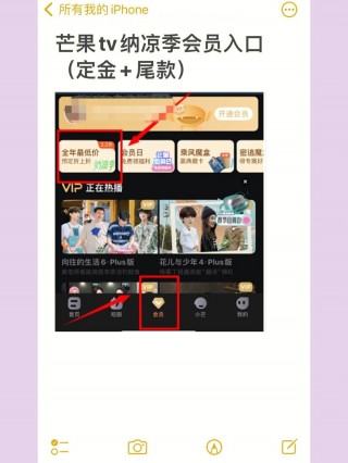 湖南卫视回放入口(湖南卫视直播入口官网)