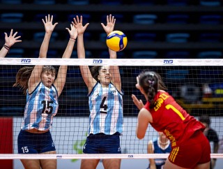 2019年女排世界杯(2019年女排世界杯中国对日本)