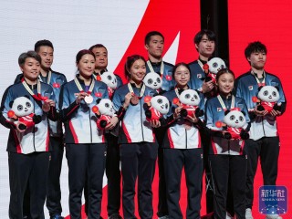 乒乓球比分直播网(乒乓球即时比分188)