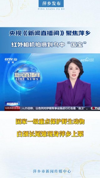 手机cctv1直播在线观看高清视频(手机cctv1直播在线观看高清视频下载)