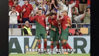 欧预赛:波黑vs葡萄牙的简单介绍