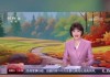 cctv13手机版在线直播(cctv13手机在线直播观看正在直播cct中央电视台4)