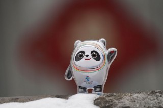 2022年北京冬奥会吉祥物(2022年北京冬奥会吉祥物冰墩墩和大熊猫有什么关联)
