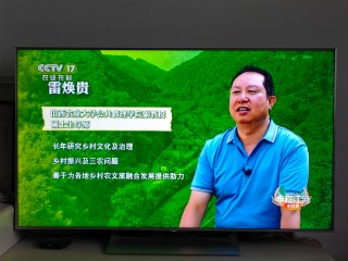 中央12台在线直播观看(中央12台在线直播观看一线)