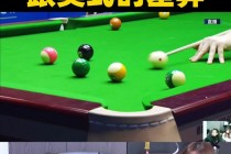 九球体育直播(九球体育直播nba小仙)