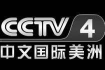 cctv4手机在线直播观看正在直播(cctv4手机在线直播观看正在直播东南卫视)，CCTV4与东南卫视手机在线直播观看热潮，CCTV4与东南卫视手机直播热潮涌动