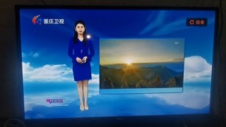重庆卫视(重庆卫视百花迎春节目表)