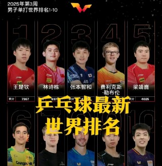 乒乓球男单最新世界排名(乒乓球男子世界排名一览表)