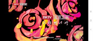 btv北京卫视官方网站(北京卫视 btv brtv)
