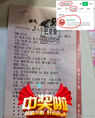 荷兰乙级联赛(荷兰乙级联赛维迪斯被扣分)