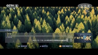 广东体育频道直播网(广东体育频道直播网络)