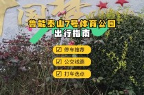 鲁能泰山7号(鲁能泰山7号二手房)
