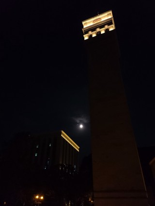 月夜直播(免费直播行情网站)