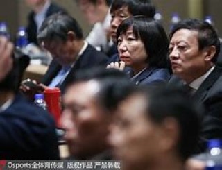 孙雯当选中国足协主席的简单介绍