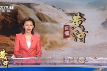 中央12台在线直播观看(中央12台在线直播观看高清官网视频下载)