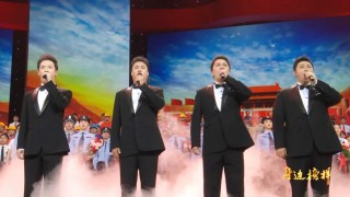 辽宁卫视节目回放(辽宁卫视节目回放观看2024)